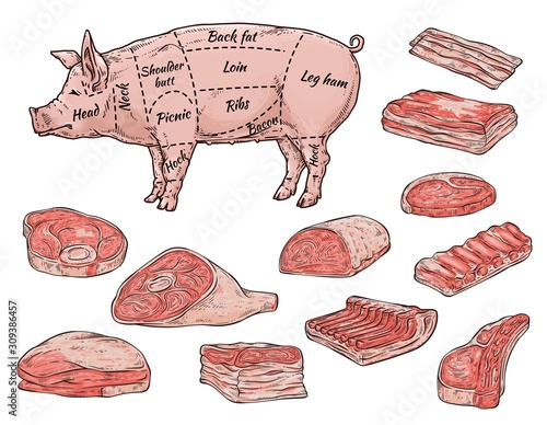 Butchery store banner with pork meat parts, vector sketch illustration isolated.