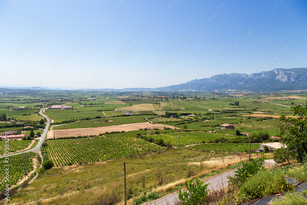 Laguardia, Spain. Scenic view of vineyards in a mountain valley