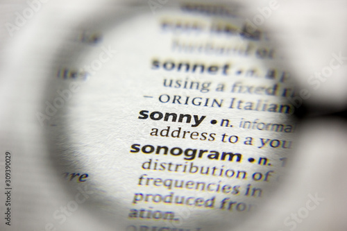 The word or phrase Sonny in a dictionary.