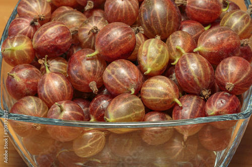 Freshly picked gooseberry in the bowl close-up. As a concept of vegan dessert. Healthy lifestyle.