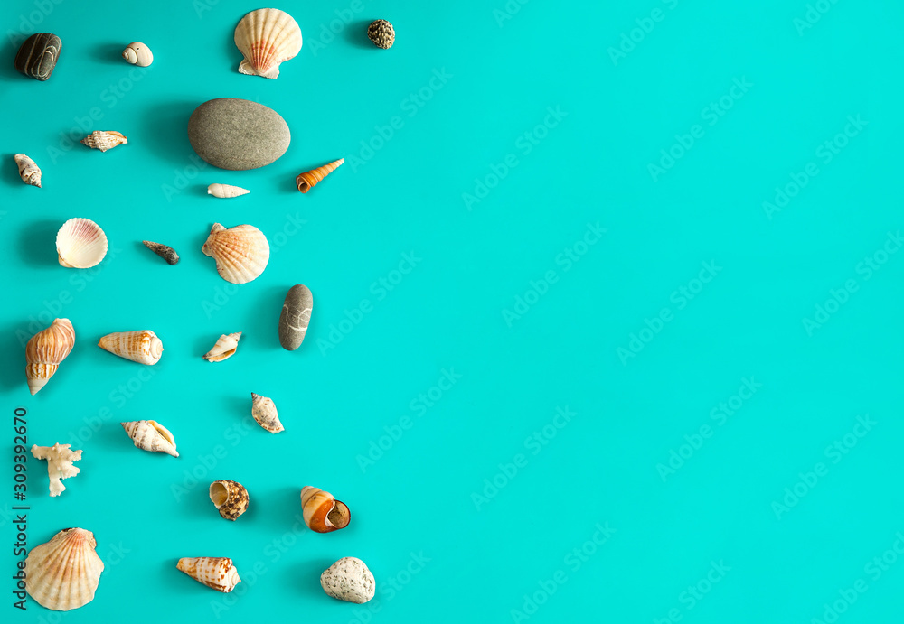 Travel and vacation concept. The border is made of shells, sea pebbles and coral twigs on a light blue background. Free space for your text. Travel and vacation concept. The border is made of shells, sea pebbles and coral twigs on a light blue background. Free space for your text.