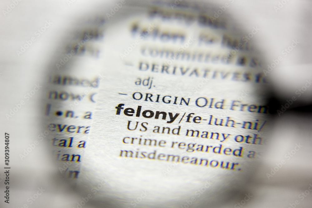 Naklejka premium The word or phrase Felony in a dictionary.