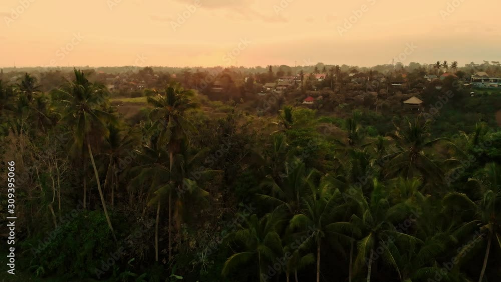 View of a Campuhan Ridge, Bali