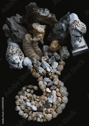 Fototapeta Naklejka Na Ścianę i Meble -  Composition of fossilized animal remains, stones, minerals and figurines