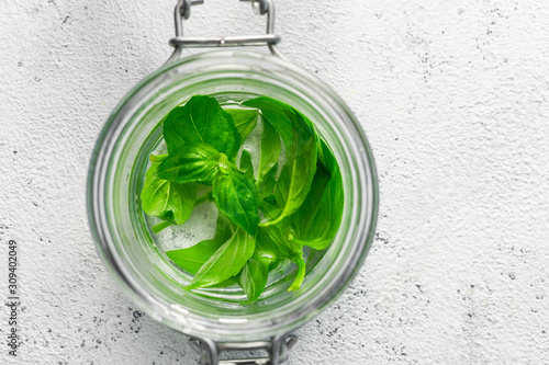 Fresh basil in glass jar with water on white background