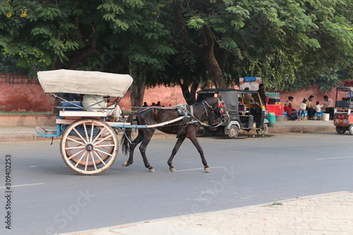 Horse carriage on the street of Indian city Jaipur, Rajasthan