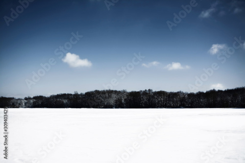 Forest on the bank of a frozen river under blue sky on a winter day