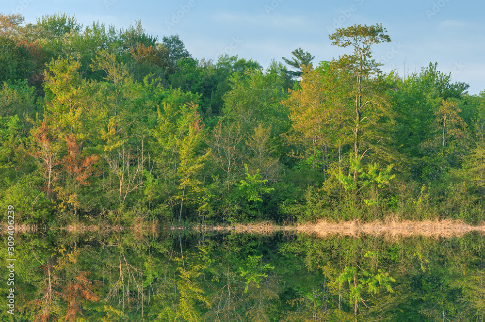 Landscape of pring foliage and reflections in calm water, Long Lake, Yankee Springs State Park, Michigan Landscape of pring foliage and reflections in calm water, Long Lake, Yankee Springs State Park, Michigan