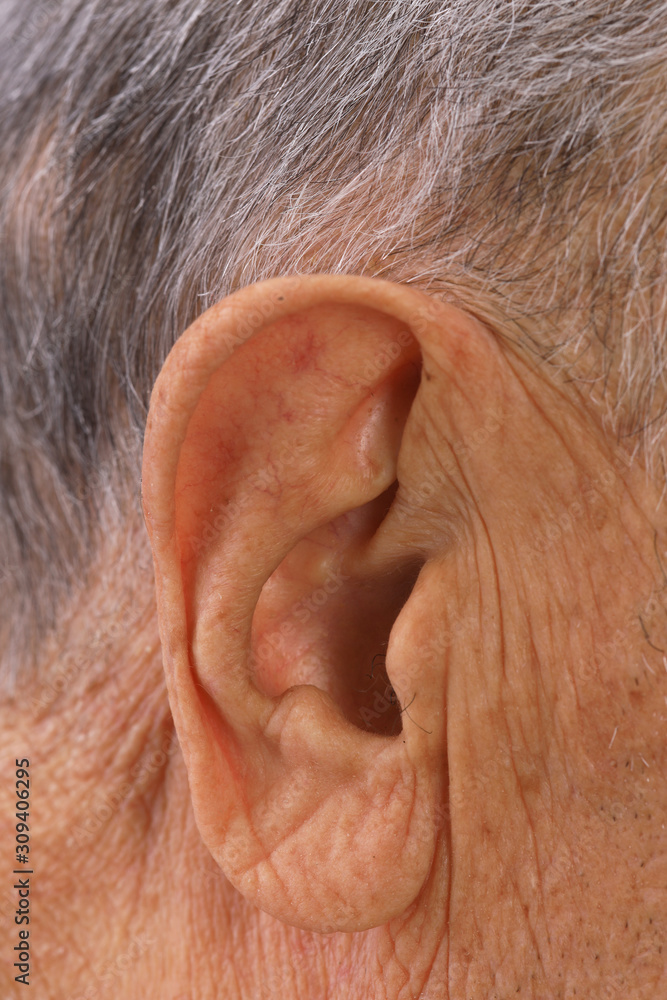 old man's ear close up old man's ear close up