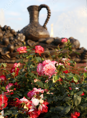 Flowering rose bushes near fountain. Walking through parks. Selective focus