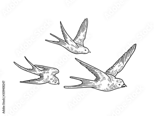 Flock of swallows sketch engraving vector illustration. T-shirt apparel print design. Scratch board style imitation. Black and white hand drawn image.