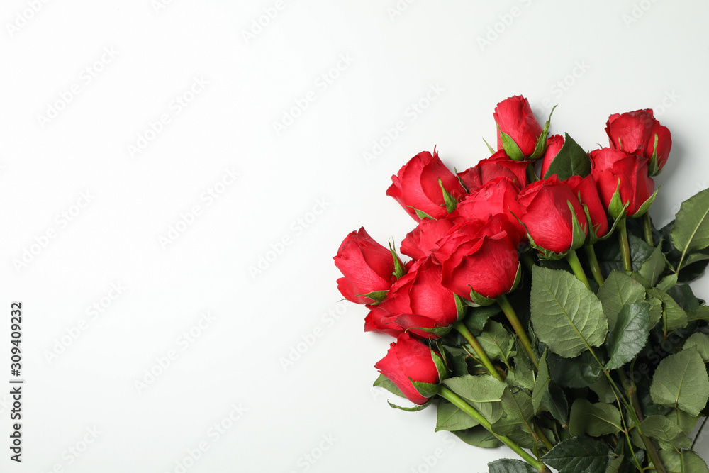 Bouquet of red roses on white background, space for text Bouquet of red roses on white background, space for text