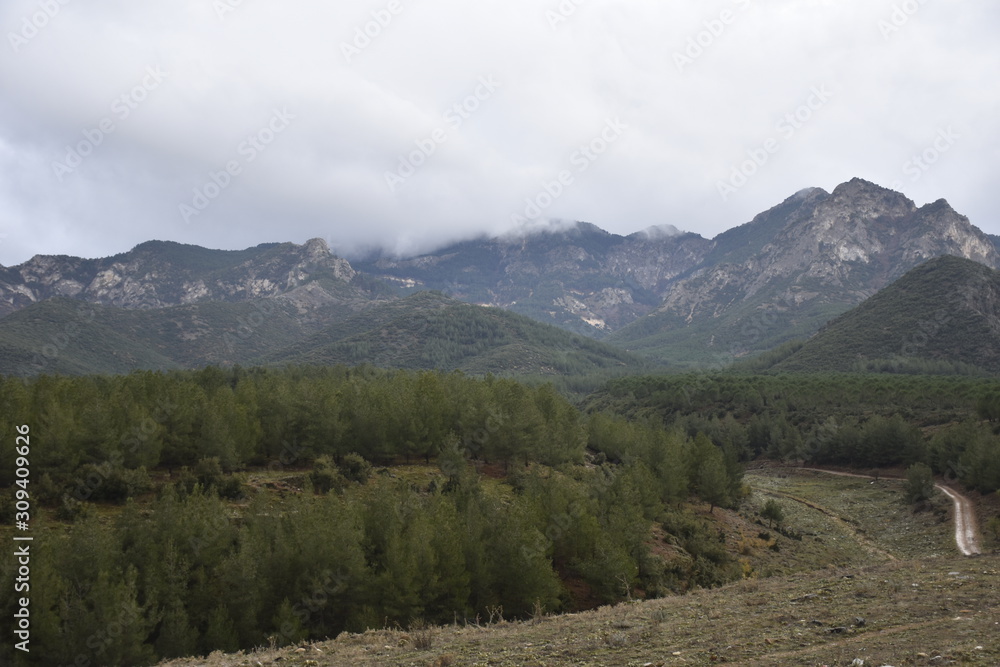 Fototapeta premium landscape in the mountains