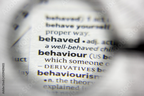 The word or phrase behaviour in a dictionary.