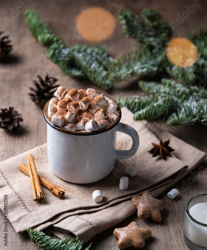  cup of cocoa and marshmallow with gingerbread and cinnamon on wood background