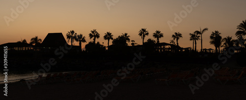 Amazing Sunset With Palm Trees Silhouettes  warm colours and deep black - Amadores Beach  Puerto Rico  Gran Canaria  Canary Island  Spain  Europe