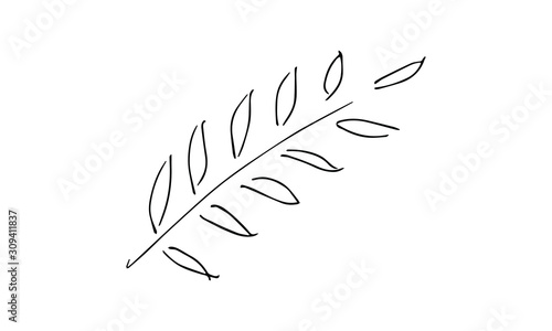 hand drawn olive branch. Botanical Doodle art. use it as a clipart in greeting cards, print on clothes, animation, packaging or design of your website