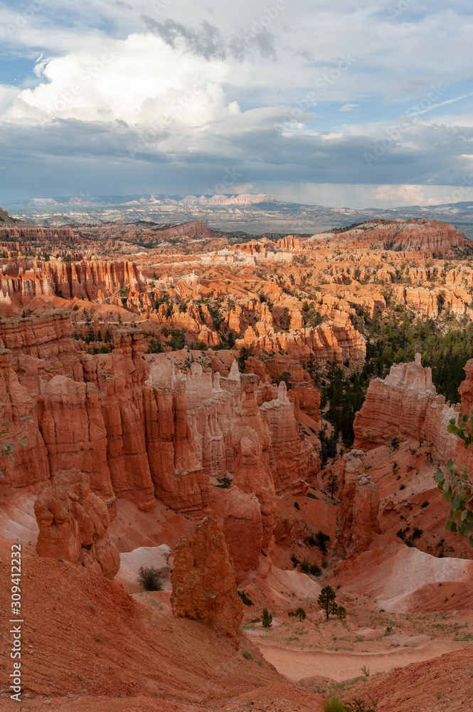 Hoodo formations in Bryce Canyon National Park, Utah