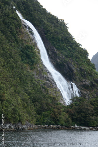 Waterfall in Primeval rainforest in New Zealand with thick lush evergreen vegetation and tree fern in the Southern Alps