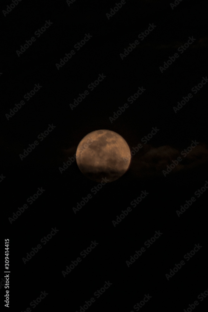 luna 1 luna 1
