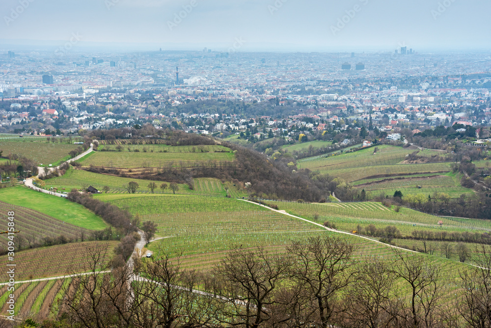 View to Vienna from hill.