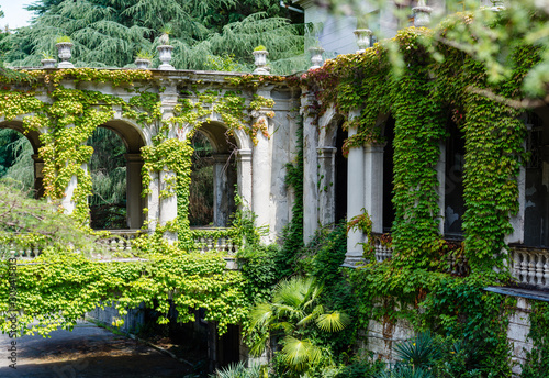 an abandoned sanatorium of Ordzhonikidze in Soch