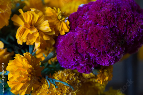 flowers of the altar and day of the dead photo