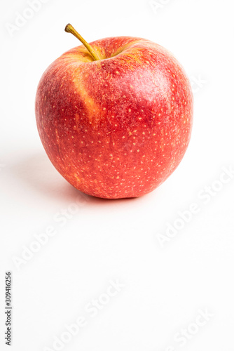 One Fresh Red Apple