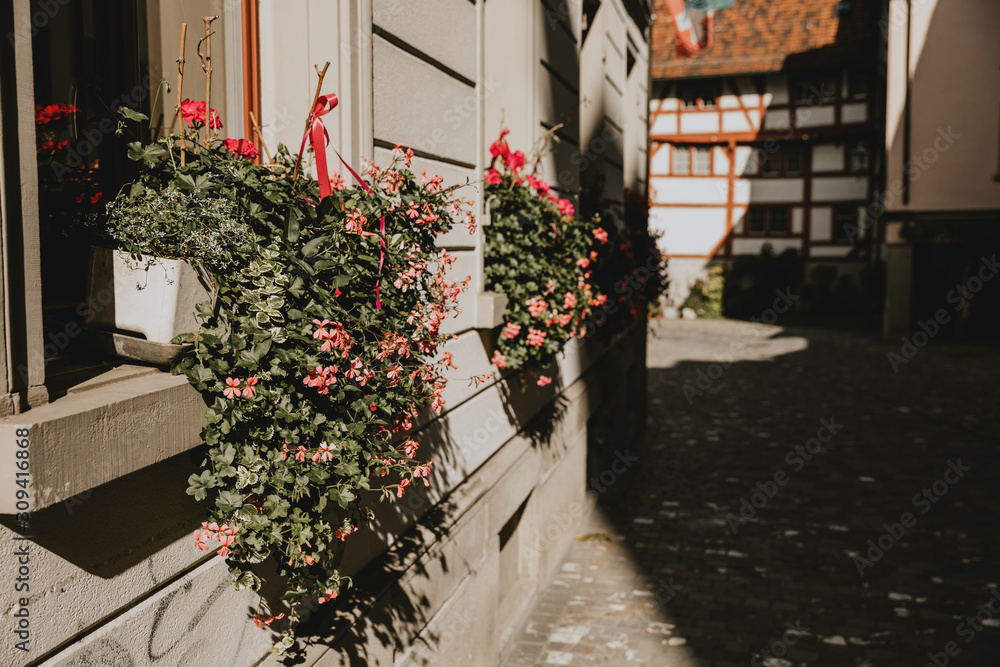 Flower pots with flowers with small red blossoms in the window in the street of Switzerland city St. Gallen during the sunny day of late autumn with half-timbered house in the background