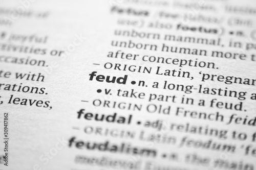 Word or phrase Feud in a dictionary.