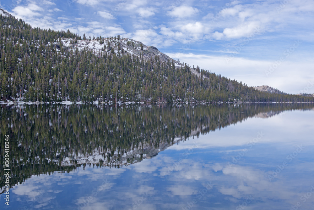 Tenaya Lake with reflections of the Sierra Nevada Mountains and conifers in calm water, Yosemite National Park, California, USA 