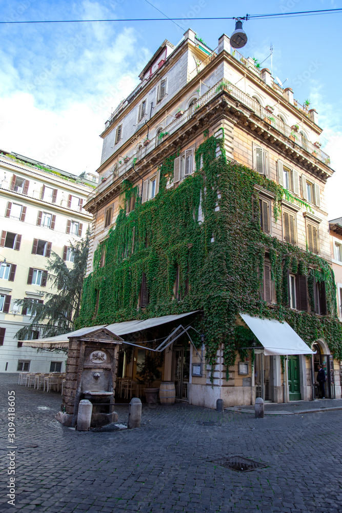 Fototapeta premium Green wild wine on a building and a cobbled steet