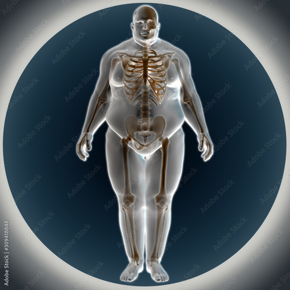 3d illustration of Overweight human anatomy. 3d illustration of Overweight human anatomy.