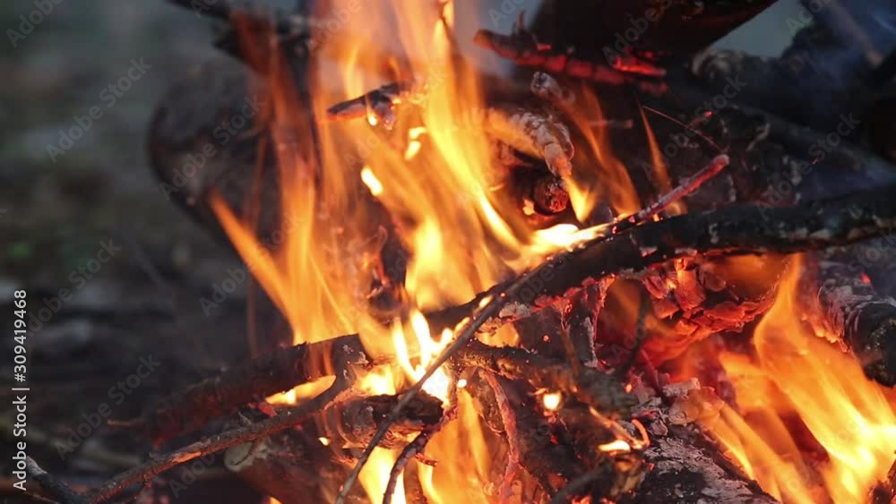 Fire and flame of a bonfire. Firewood burns in a campfire. Fire and flame of a bonfire. Firewood burns in a campfire.