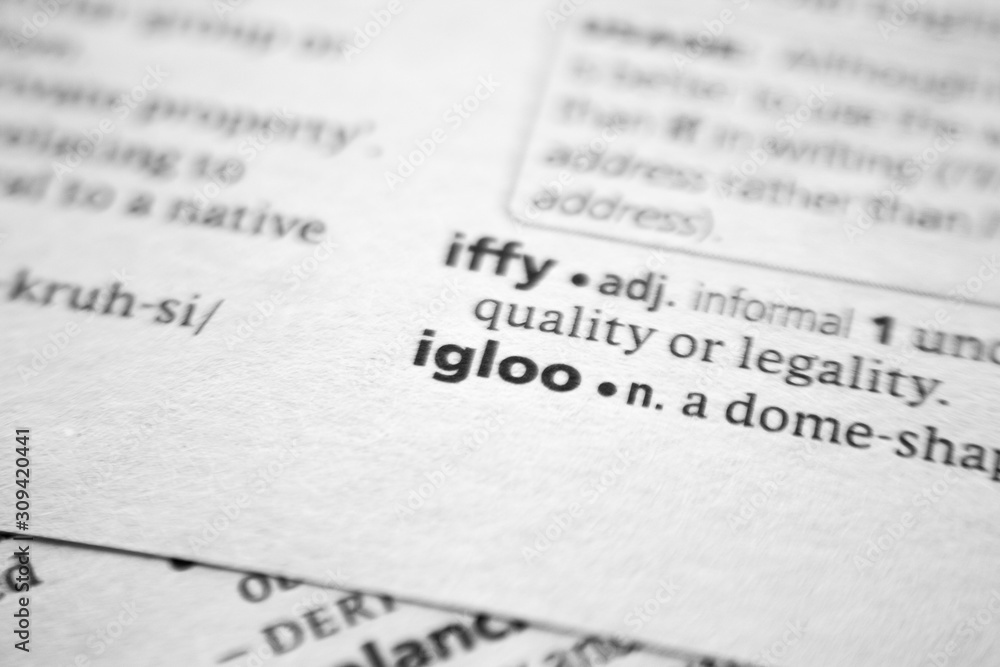 Fototapeta premium Word or phrase Igloo in a dictionary.