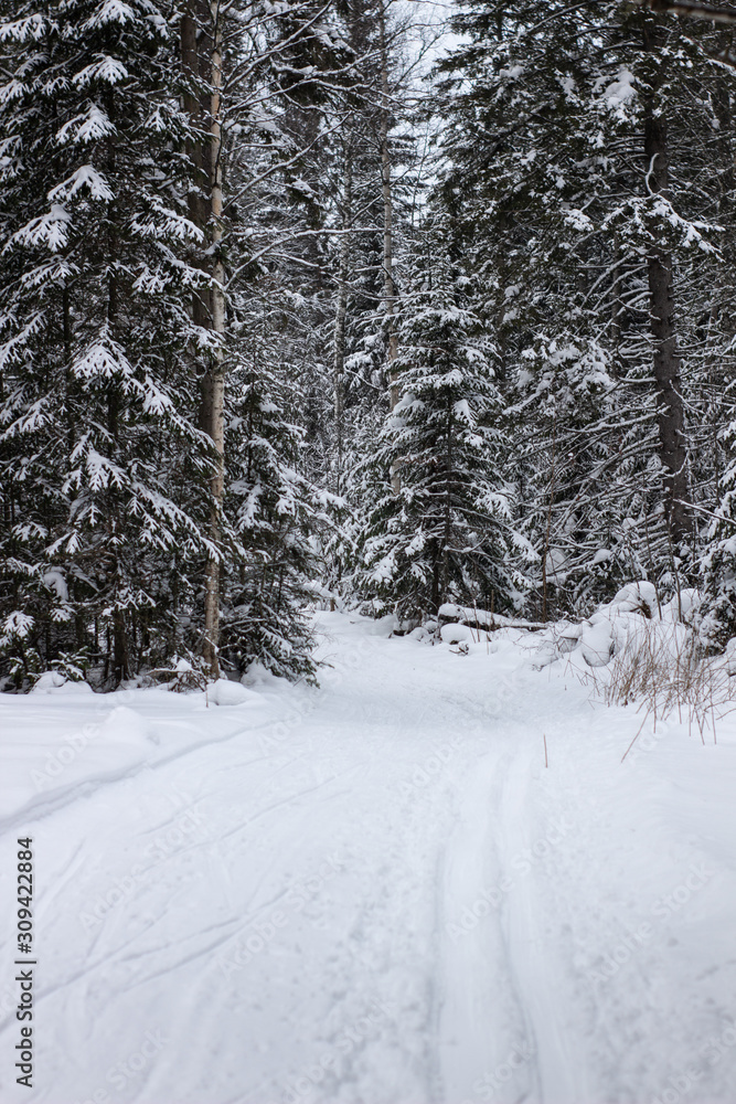 wintry landscape scenery with modified cross country skiing way wintry landscape scenery with modified cross country skiing way