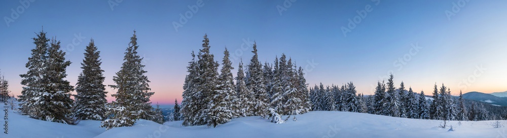 Naklejka premium Picturesque landscape of a snowy forest
