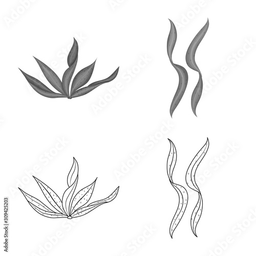 Isolated object of protein and sea icon. Set of protein and natural vector icon for stock.