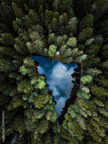 Aerial view of small blue alpine lake in the green pine forest near the Eibsee lake,Germany,Europe.