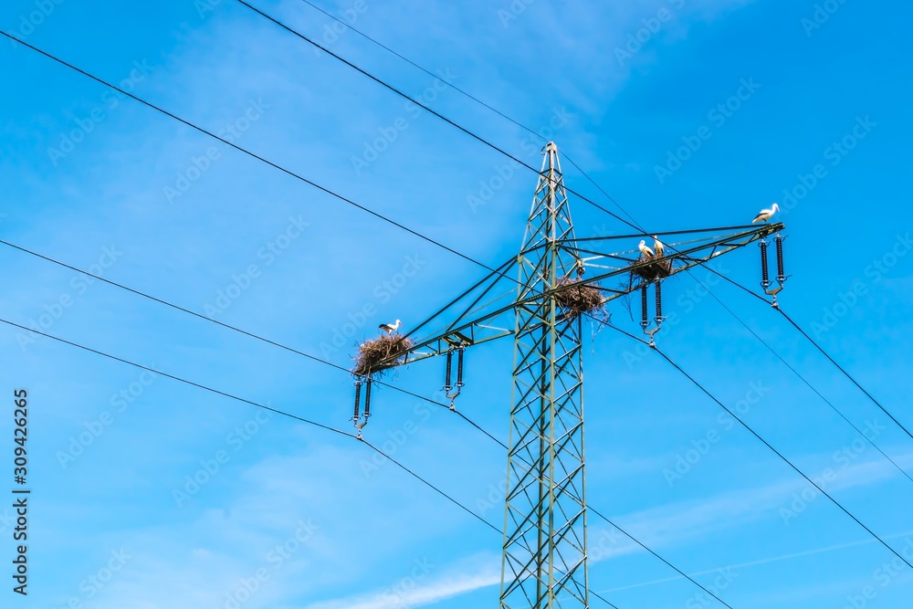 Spring - A dangerous place for stork nests on a high voltage pylon. It's spring and time of mating. On a sunny day in spring in the nature reserve Amöneburger Becken near Marburg. Spring - A dangerous place for stork nests on a high voltage pylon. It's spring and time of mating. On a sunny day in spring in the nature reserve Amöneburger Becken near Marburg.