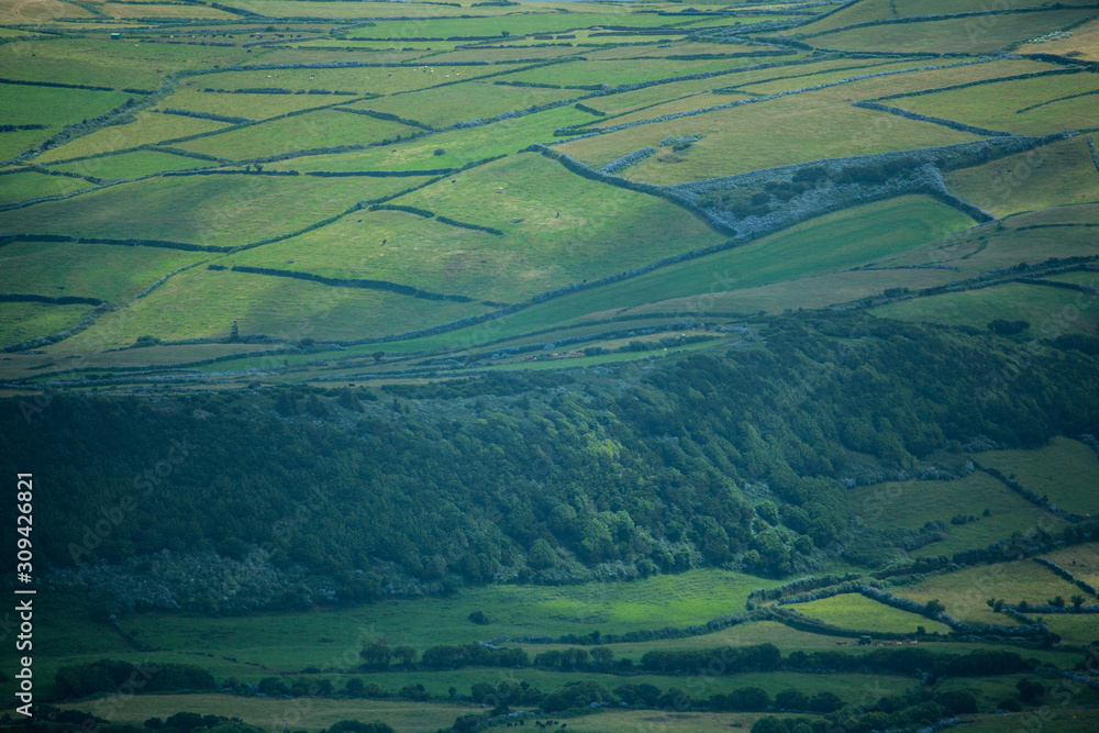 Fototapeta premium Agricultural fields on Faial, Azores