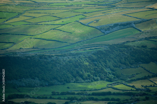 Agricultural fields on Faial, Azores