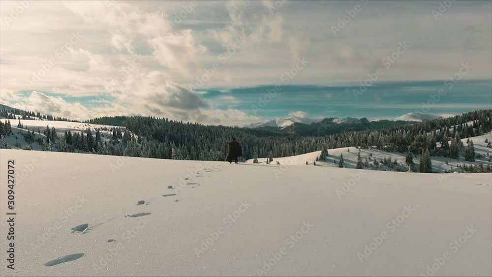 Man with staff walking on mountain covered in snow and trees Man with staff walking on mountain covered in snow and trees