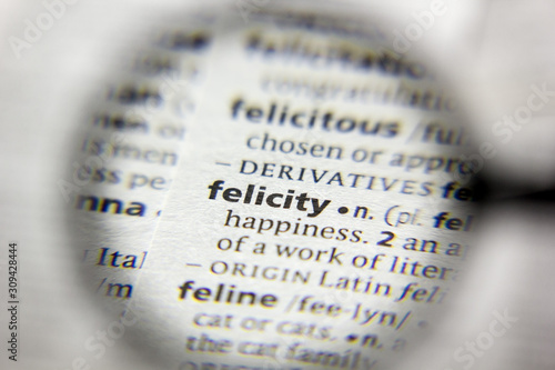 Canvas Print The word or phrase Felicity in a dictionary.