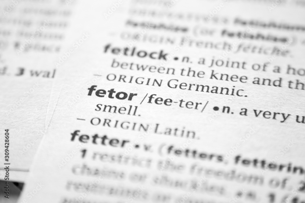 Word or phrase Fetor in a dictionary. Word or phrase Fetor in a dictionary.