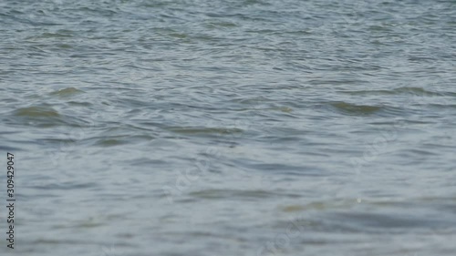 Small wave close up