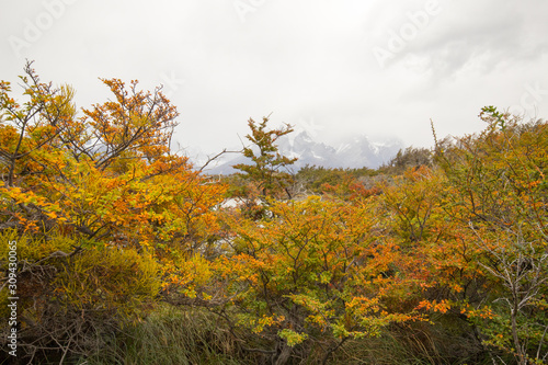 Autumn colors and fog in the Torres del Paine mountains that overlook the waters of a lake, Torres del Paine National Park, Chile © Marco Ramerini