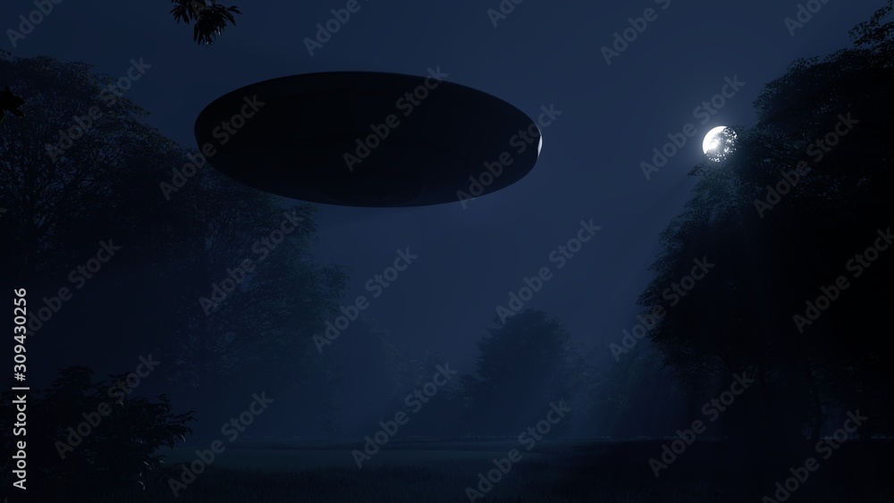 Fototapeta premium 3d ufo flew over the wild forest at night