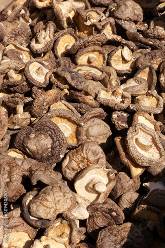 Dried mushrooms of Japanese common ingredients