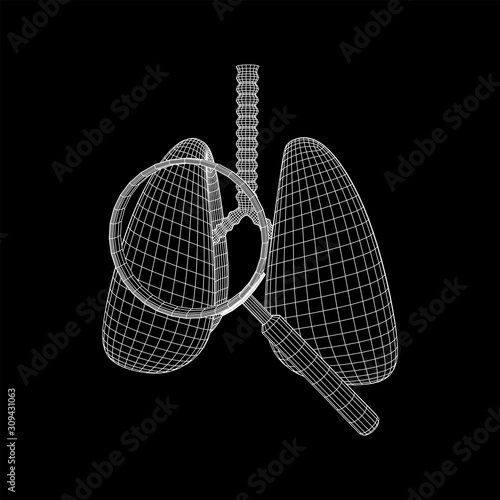 Lungs with trachea bronchi internal organ human with magnifying glass. Pulmonology medicine science analysis concept. Wireframe low poly mesh vector illustration